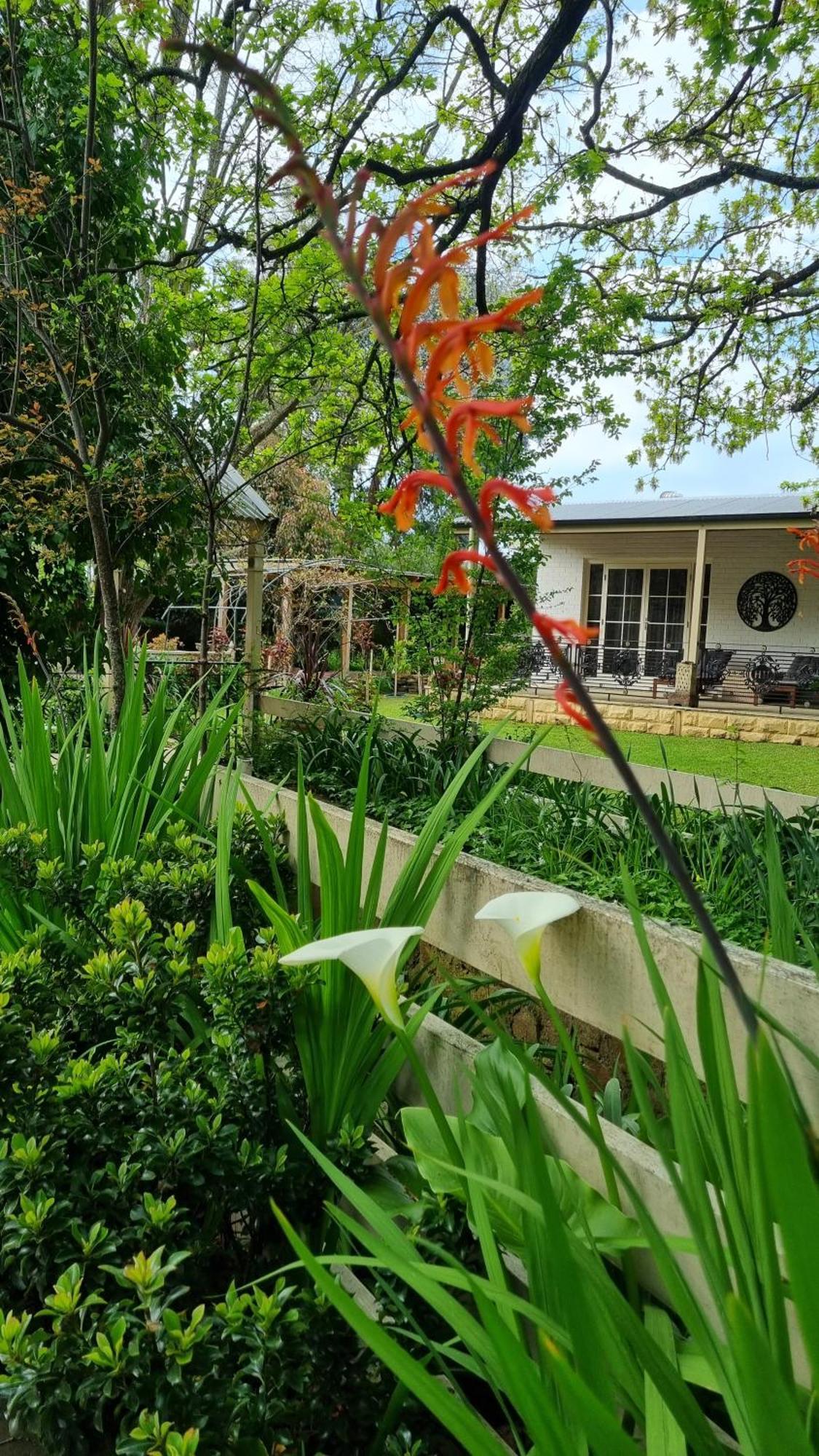 Hahndorf House B&B 외부 사진