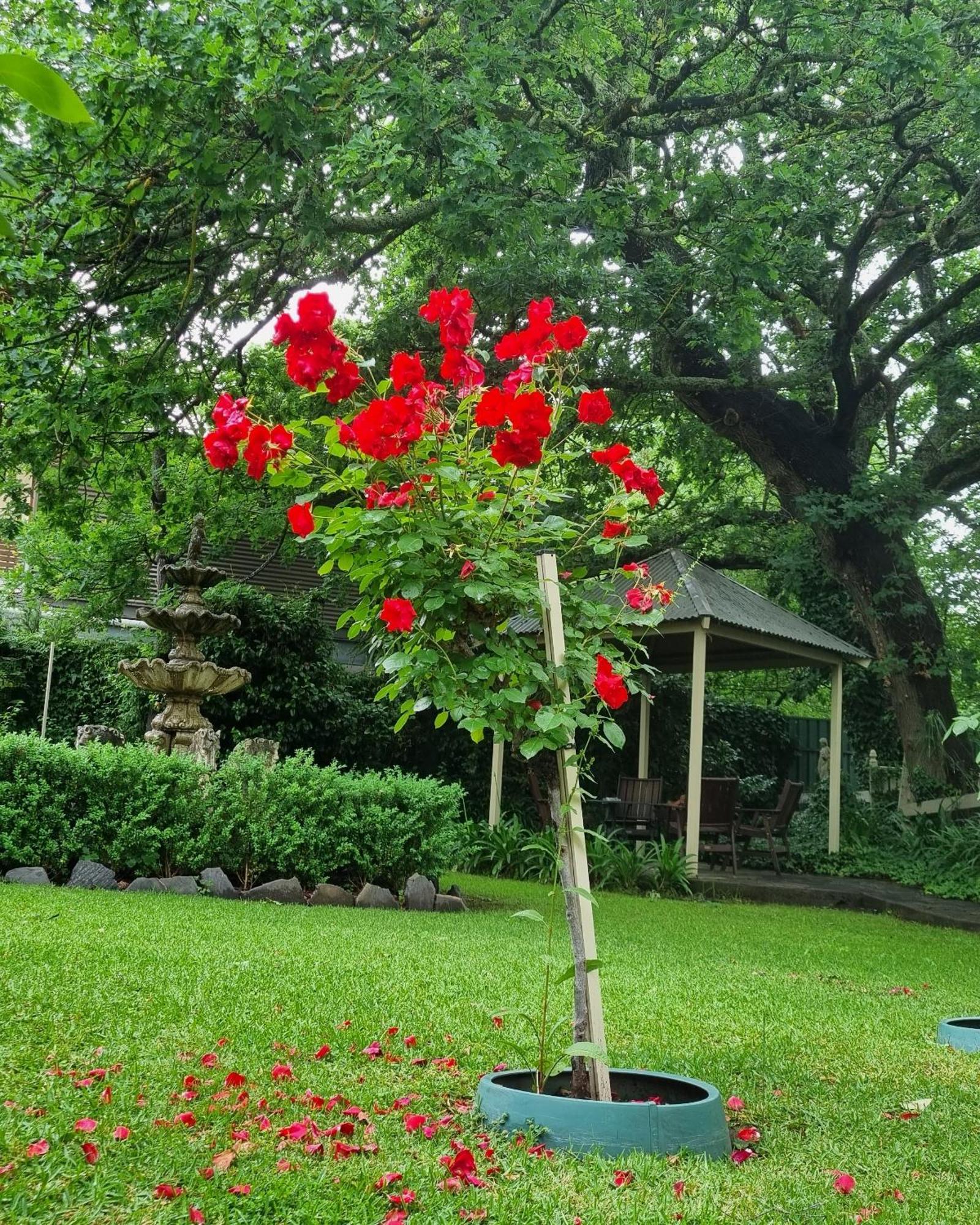 Hahndorf House B&B 외부 사진